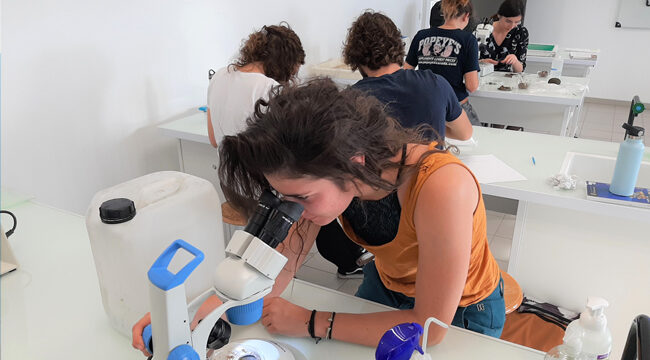 MASTER DEGREE MARINE SCIENCES – OBEM