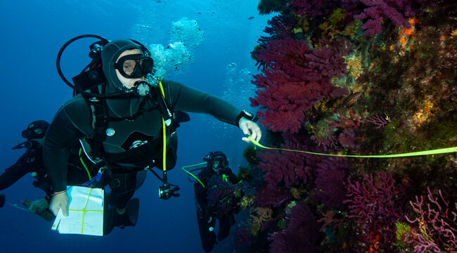 TRAINING OF SCIENTIFIC DIVERS