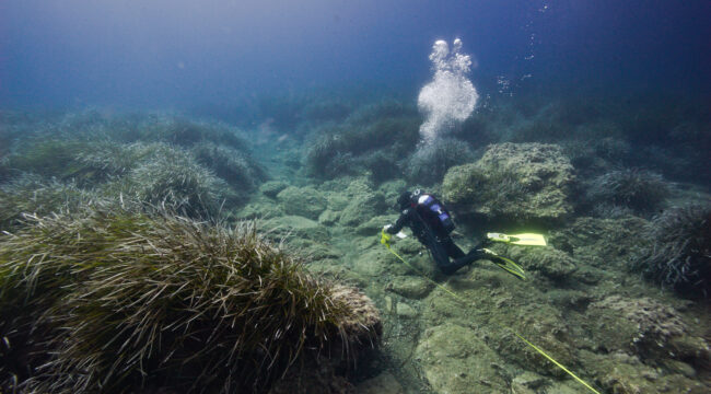 THE ODYSSEY OF MARINE PROTECTED AREAS