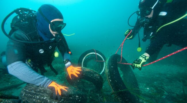 BACHELOR – Management and Protection of Marine and Coastal Environments